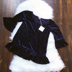 Anthropologie Blue Velvet top NWT